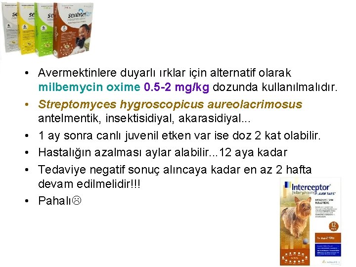  • Avermektinlere duyarlı ırklar için alternatif olarak milbemycin oxime 0. 5 -2 mg/kg