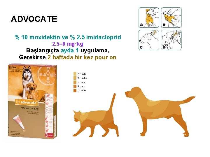 ADVOCATE % 10 moxidektin ve % 2. 5 imidacloprid 2. 5– 6 mg⁄ kg