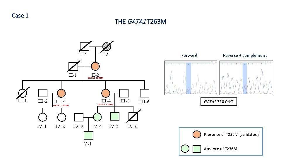 Case 1 THE GATA 1 T 263 M I-1 III-1 III-2 IV-1 I-2 Reverse