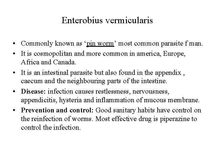 Enterobius vermicularis • Commonly known as ‘pin worm’ most common parasite f man. •
