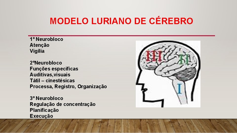 MODELO LURIANO DE CÉREBRO 1º Neurobloco Atenção Vigília 2ºNeurobloco Funções especificas Auditivas, visuais Tátil