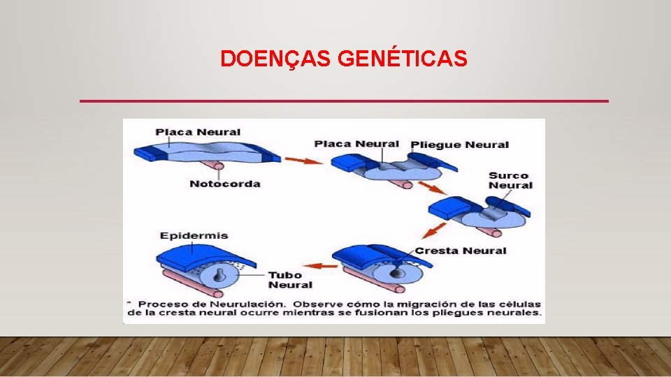 DOENÇAS GENÉTICAS 