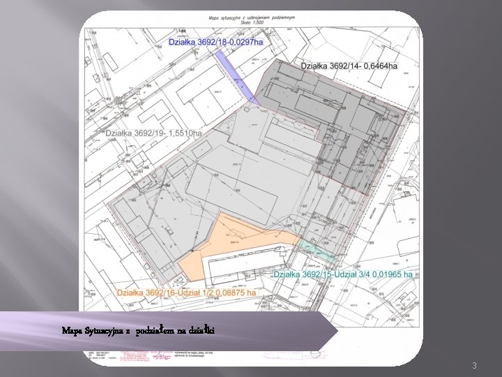 Mapa Sytuacyjna z podziałem na działki 3 