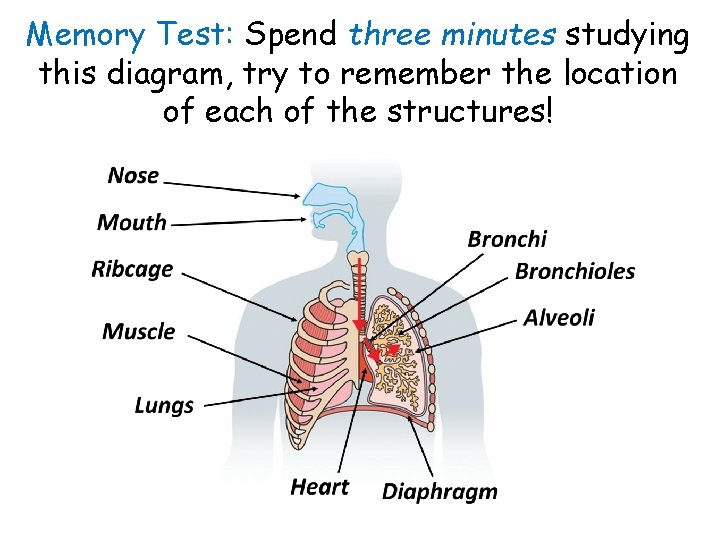 Memory Test: Spend three minutes studying this diagram, try to remember the location of