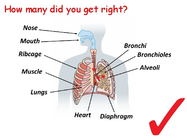 How many did you get right? 
