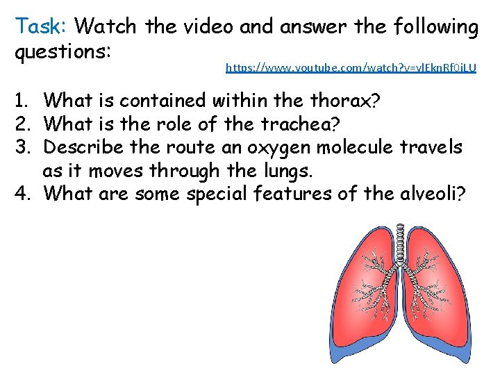 Task: Watch the video and answer the following questions: https: //www. youtube. com/watch? v=yl.