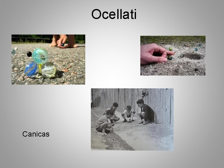 Ocellati Canicas 