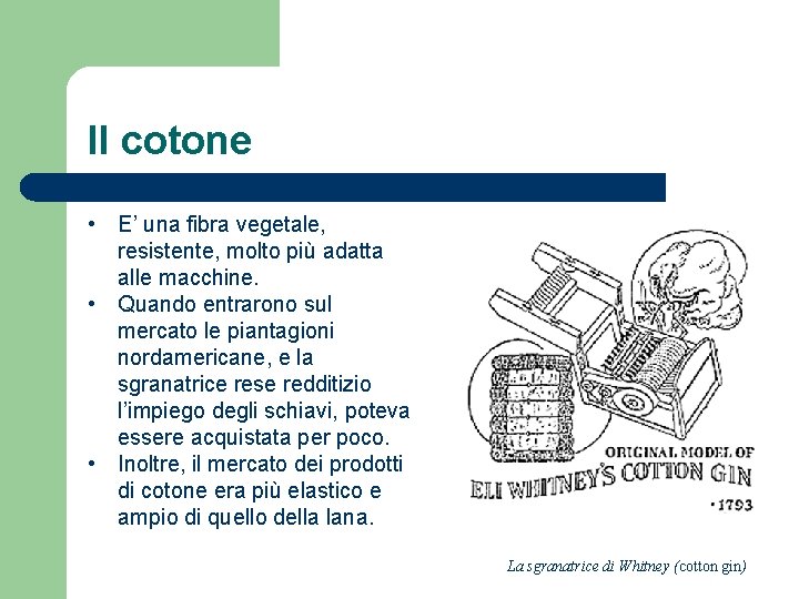 Il cotone • E’ una fibra vegetale, resistente, molto più adatta alle macchine. •