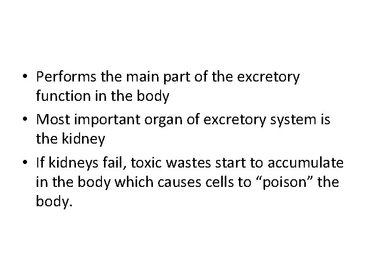  • Performs the main part of the excretory function in the body •