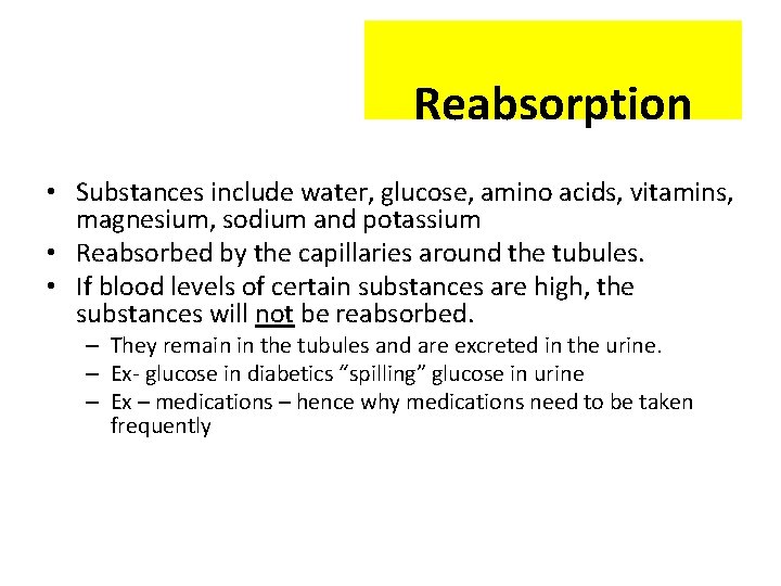 Reabsorption • Substances include water, glucose, amino acids, vitamins, magnesium, sodium and potassium •