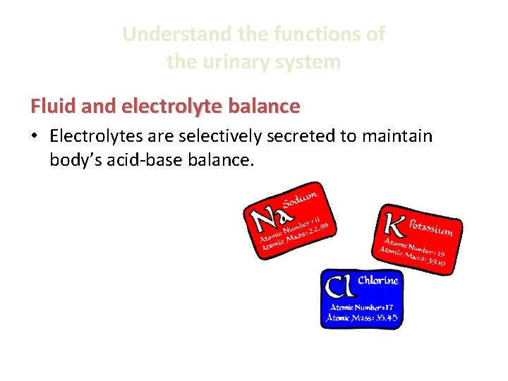 Understand the functions of the urinary system Fluid and electrolyte balance • Electrolytes are