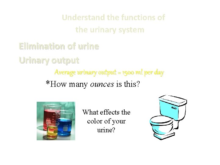 Understand the functions of the urinary system Elimination of urine Urinary output Average urinary