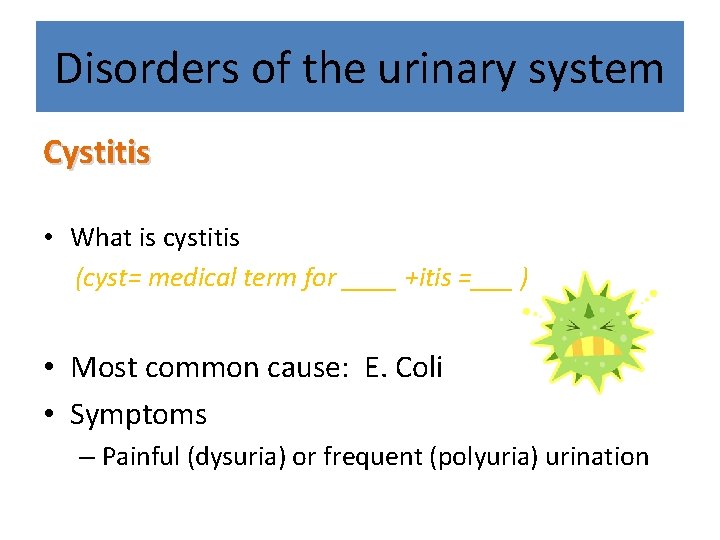 Disorders of the urinary system Cystitis • What is cystitis (cyst= medical term for