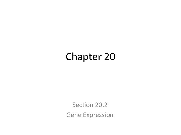 Chapter 20 Section 20. 2 Gene Expression 