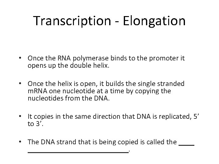 Transcription - Elongation • Once the RNA polymerase binds to the promoter it opens