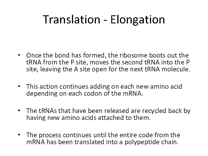 Translation - Elongation • Once the bond has formed, the ribosome boots out the