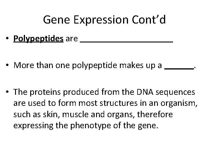 Gene Expression Cont’d • Polypeptides are • More than one polypeptide makes up a