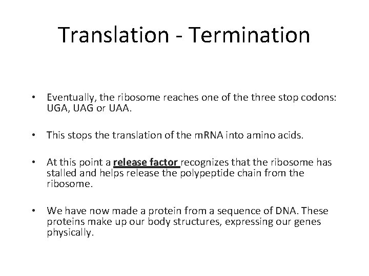 Translation - Termination • Eventually, the ribosome reaches one of the three stop codons: