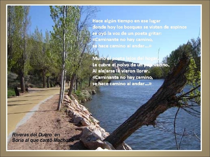 Hace algún tiempo en ese lugar donde hoy los bosques se visten de espinos