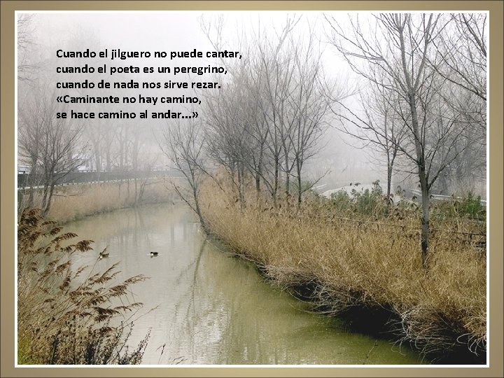 Cuando el jilguero no puede cantar, cuando el poeta es un peregrino, cuando de