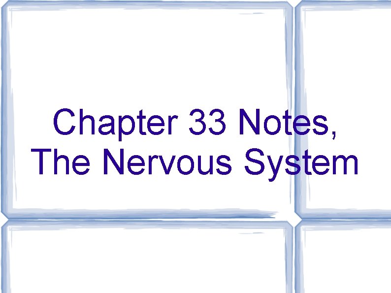 Chapter 33 Notes, The Nervous System 