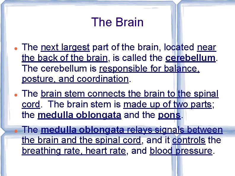 The Brain The next largest part of the brain, located near the back of
