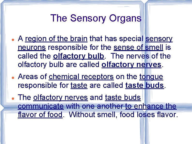 The Sensory Organs A region of the brain that has special sensory neurons responsible