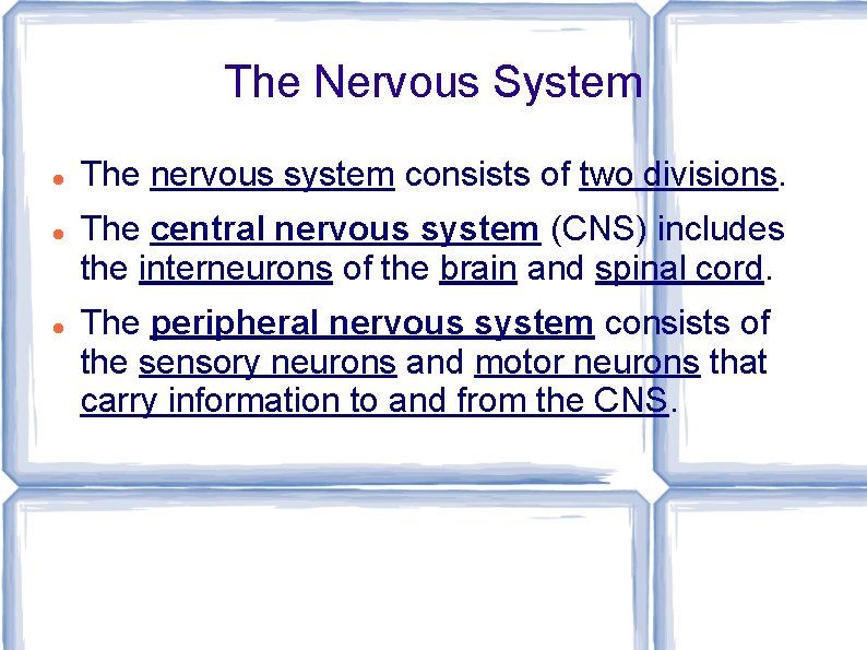 The Nervous System The nervous system consists of two divisions. The central nervous system