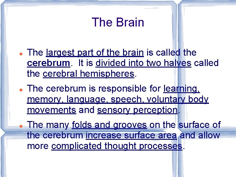 The Brain The largest part of the brain is called the cerebrum. It is