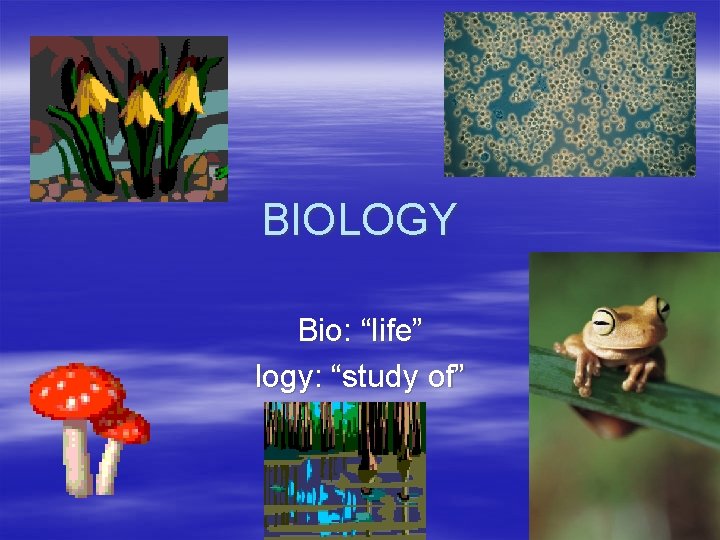 BIOLOGY Bio: “life” logy: “study of” 