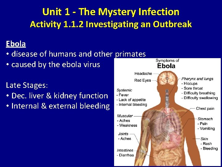 Unit 1 - The Mystery Infection Activity 1. 1. 2 Investigating an Outbreak Ebola