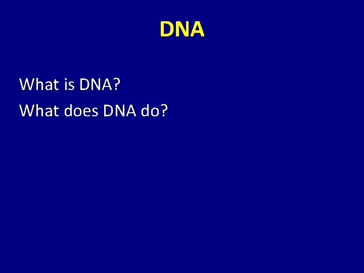 DNA What is DNA? What does DNA do? 