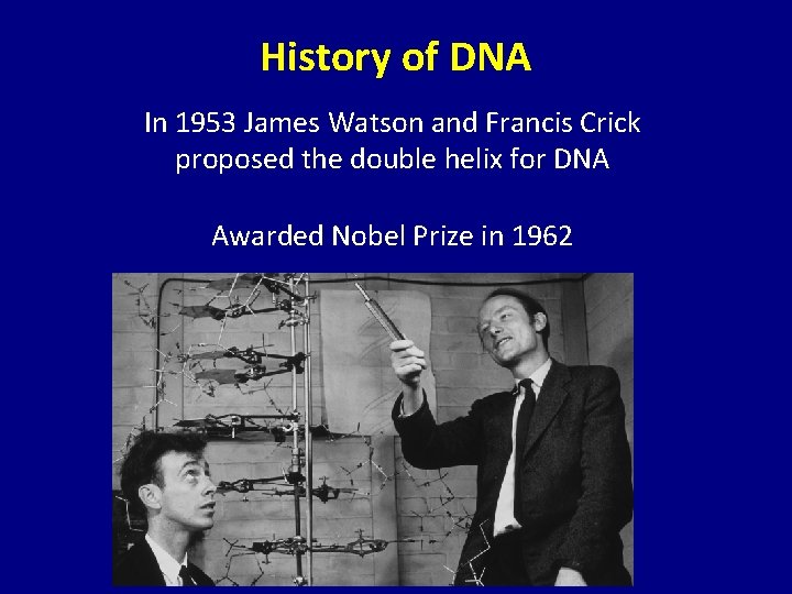 History of DNA In 1953 James Watson and Francis Crick proposed the double helix