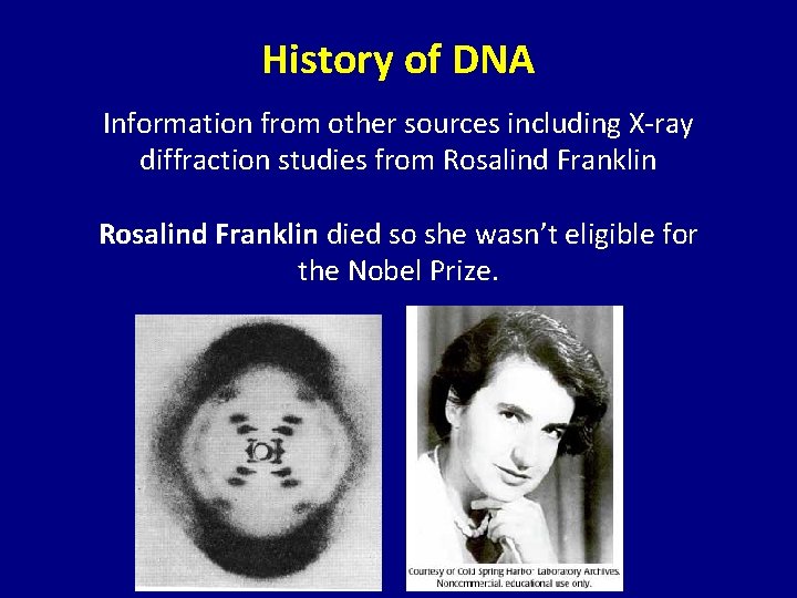 History of DNA Information from other sources including X-ray diffraction studies from Rosalind Franklin