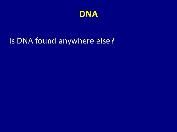 DNA Is DNA found anywhere else? 