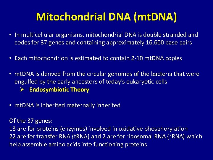 Mitochondrial DNA (mt. DNA) • In multicellular organisms, mitochondrial DNA is double stranded and
