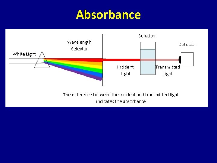 Absorbance 