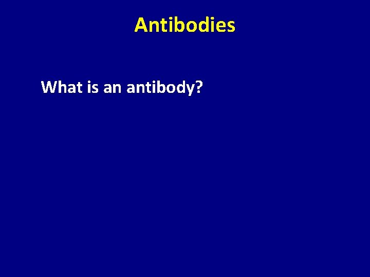 Antibodies What is an antibody? 