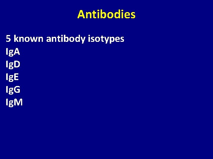 Antibodies 5 known antibody isotypes Ig. A Ig. D Ig. E Ig. G Ig.
