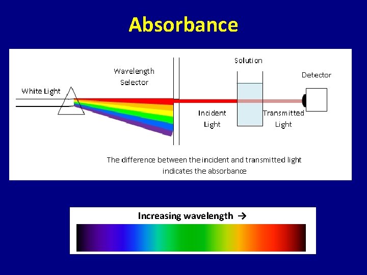 Absorbance Increasing wavelength → 
