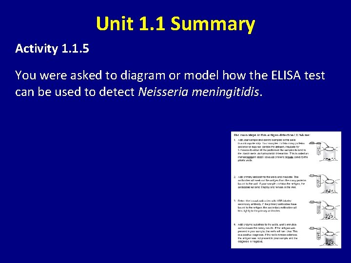 Unit 1. 1 Summary Activity 1. 1. 5 You were asked to diagram or