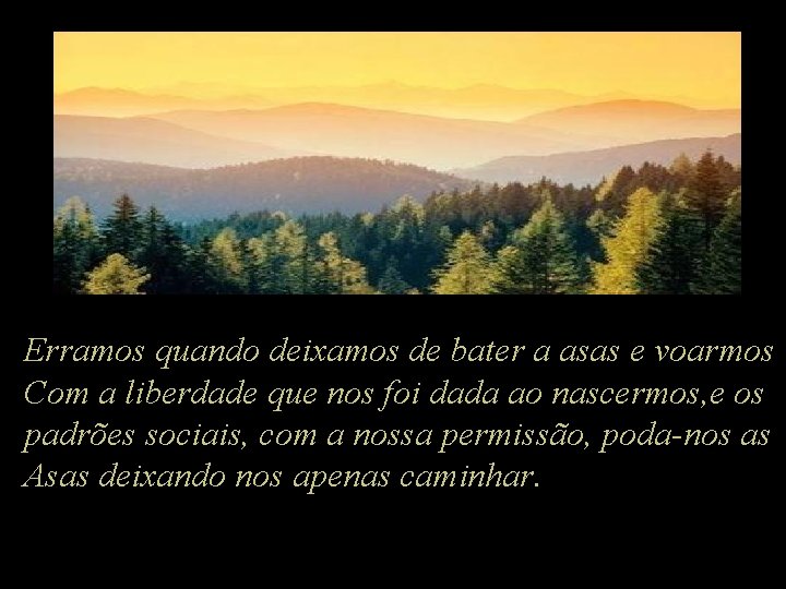 Erramos quando deixamos de bater a asas e voarmos Com a liberdade que nos