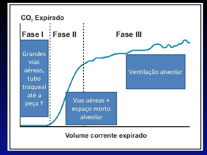 Espaço Morto Grandes vias aéreas, tubo traqueal até a peça Y Ventilação alveolar Vias