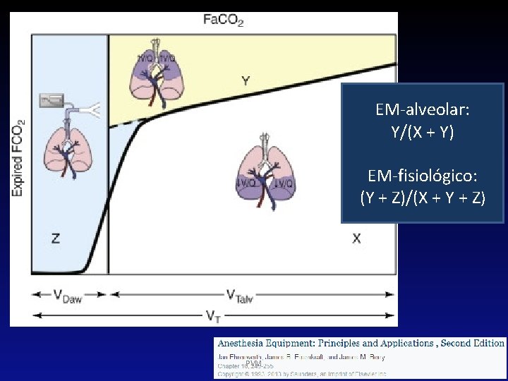 EM-alveolar: Y/(X + Y) EM-fisiológico: (Y + Z)/(X + Y + Z) PVM 