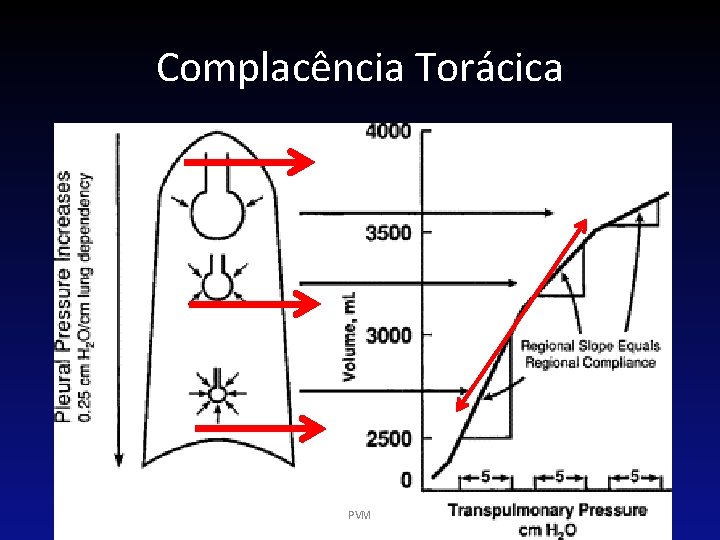 Complacência Torácica PVM 