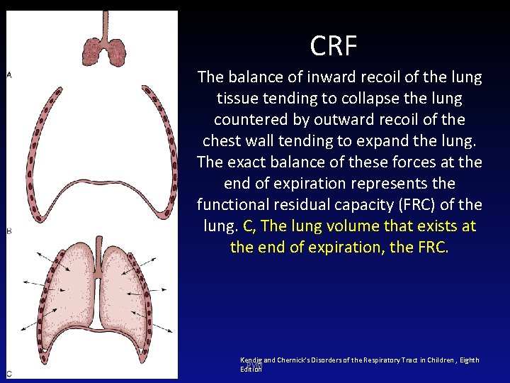 CRF The balance of inward recoil of the lung tissue tending to collapse the