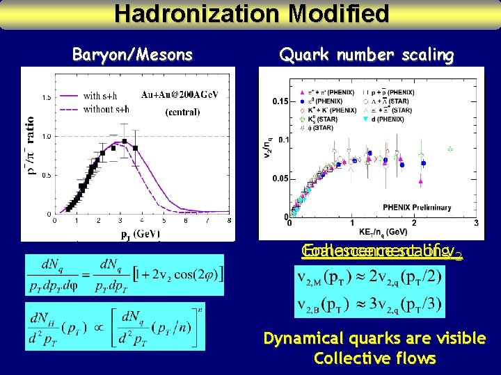 Hadronization Modified Baryon/Mesons Quark number scaling Au + u A p+p PHENIX, PRL 89(2003)