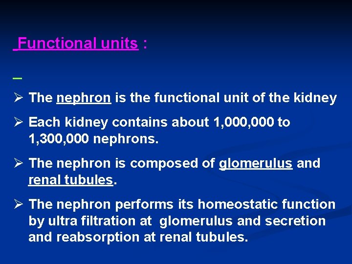 Functional units : Ø The nephron is the functional unit of the kidney Ø