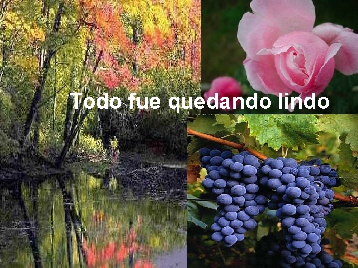 Todo fue quedando lindo Todo fue quedando lindo