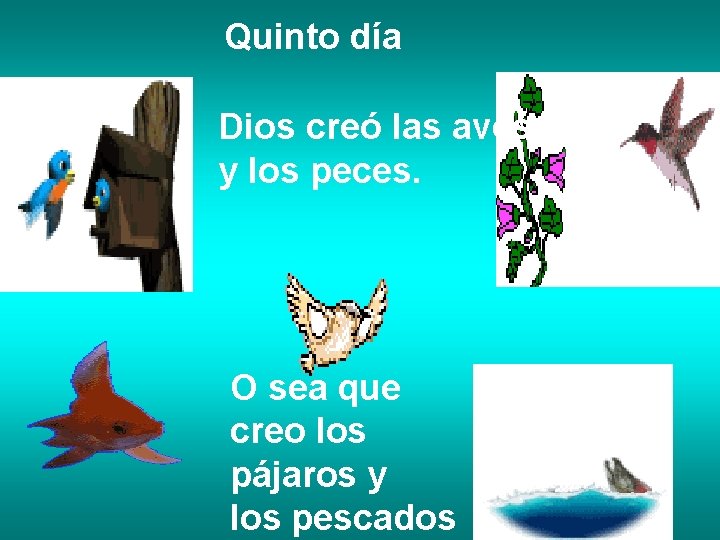 Quinto día Dios creó las aves y los peces. O sea que creo los Quinto día Dios creó las aves y los peces. O sea que creo los